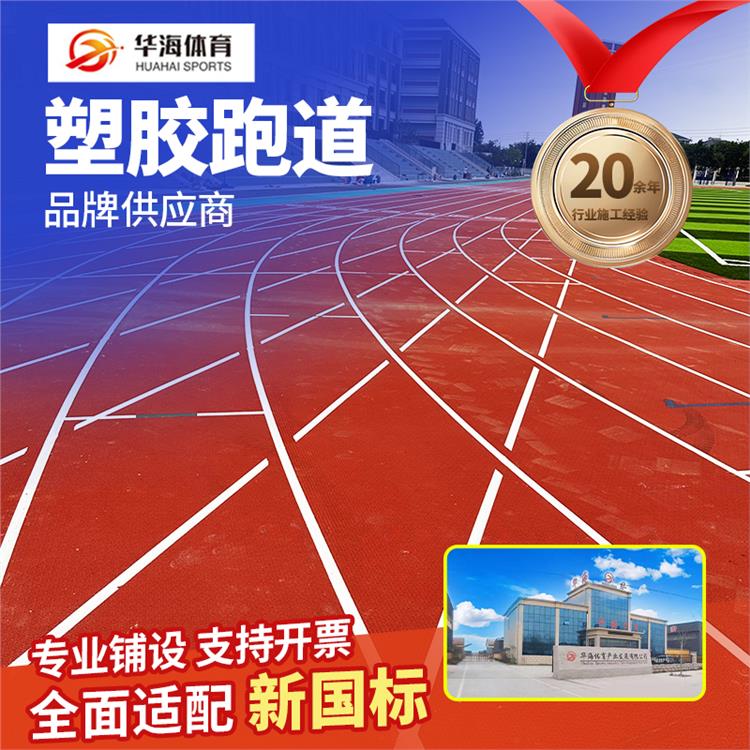 娄底市半预制跑道卷材预制型橡胶跑道 - 方案